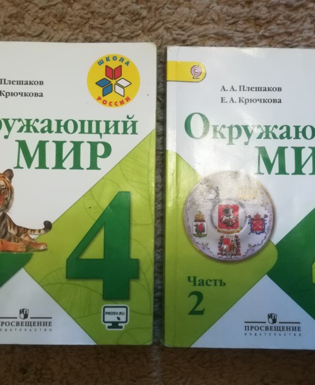 Учебник окр мир школа россии 4 класс